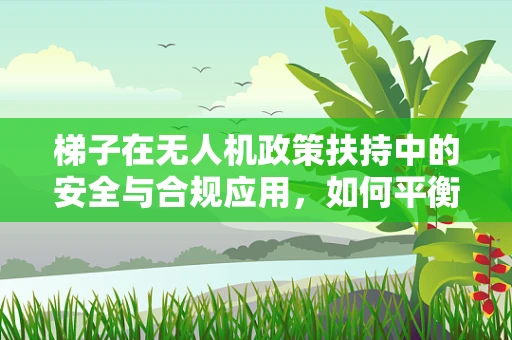 梯子在无人机政策扶持中的安全与合规应用，如何平衡创新与监管？