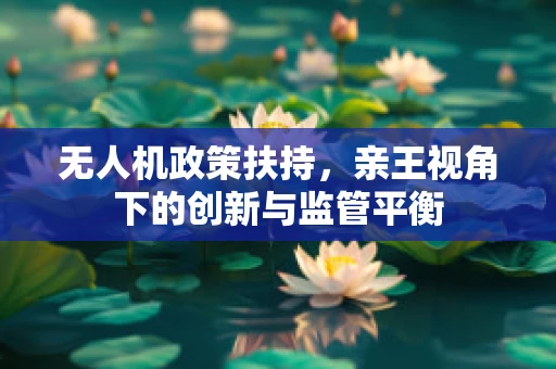 无人机政策扶持，亲王视角下的创新与监管平衡