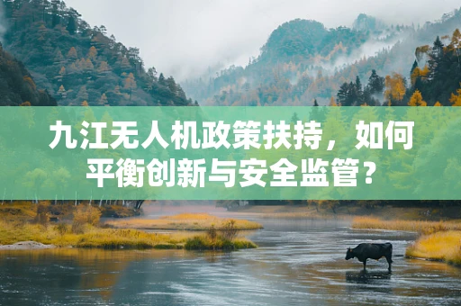 九江无人机政策扶持，如何平衡创新与安全监管？
