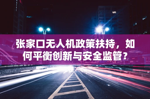 张家口无人机政策扶持，如何平衡创新与安全监管？