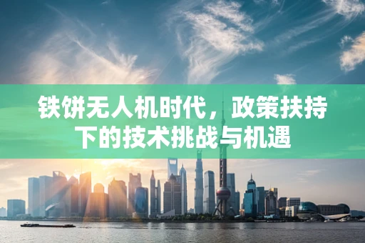 铁饼无人机时代，政策扶持下的技术挑战与机遇