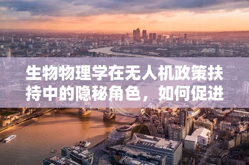 生物物理学在无人机政策扶持中的隐秘角色，如何促进安全与环保的双重飞跃？