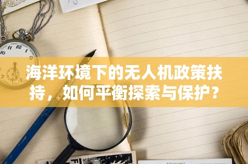 海洋环境下的无人机政策扶持，如何平衡探索与保护？