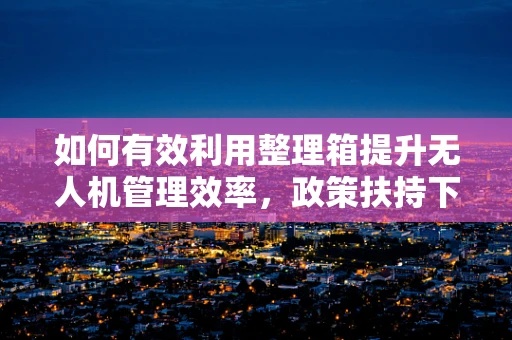 如何有效利用整理箱提升无人机管理效率，政策扶持下有何创新路径？