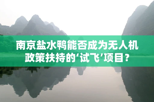 南京盐水鸭能否成为无人机政策扶持的‘试飞’项目？