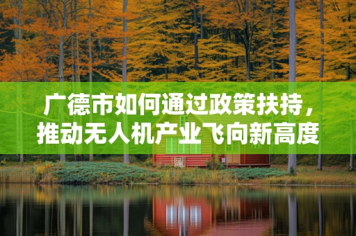 广德市如何通过政策扶持，推动无人机产业飞向新高度？