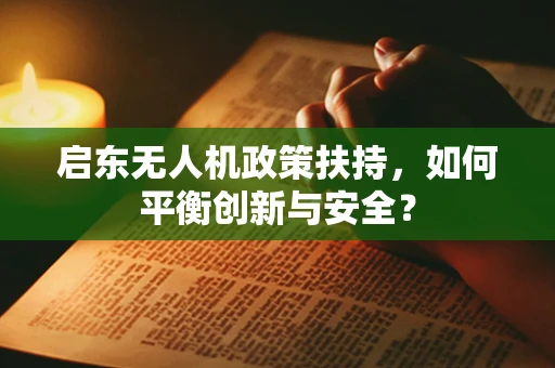 启东无人机政策扶持，如何平衡创新与安全？