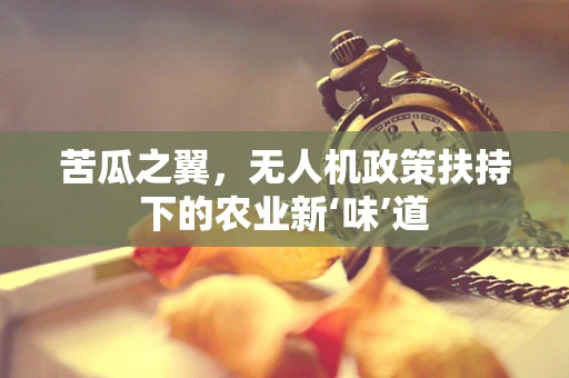 苦瓜之翼，无人机政策扶持下的农业新‘味’道