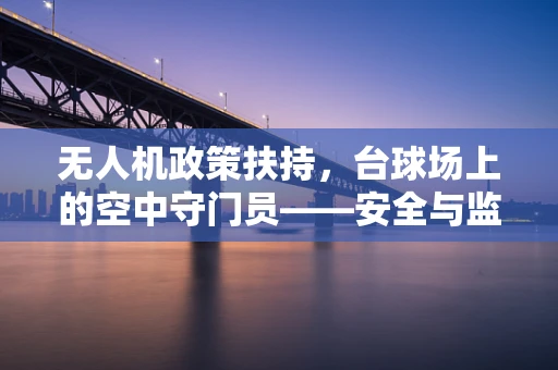 无人机政策扶持，台球场上的空中守门员——安全与监管的微妙平衡