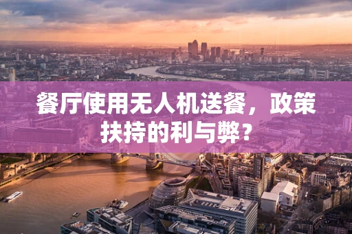 餐厅使用无人机送餐，政策扶持的利与弊？