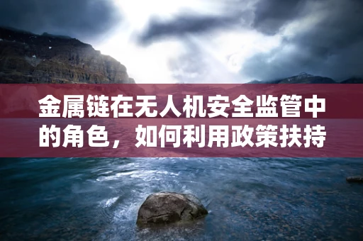 金属链在无人机安全监管中的角色，如何利用政策扶持实现高效监管？
