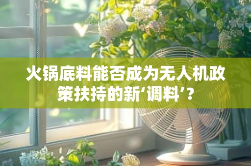 火锅底料能否成为无人机政策扶持的新‘调料’？