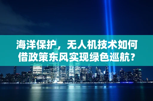 海洋保护，无人机技术如何借政策东风实现绿色巡航？
