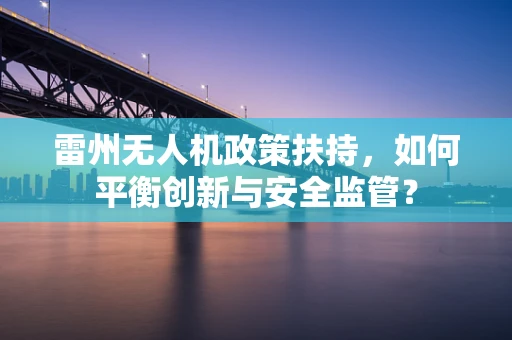 雷州无人机政策扶持，如何平衡创新与安全监管？