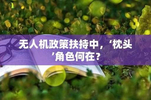 无人机政策扶持中，‘枕头’角色何在？