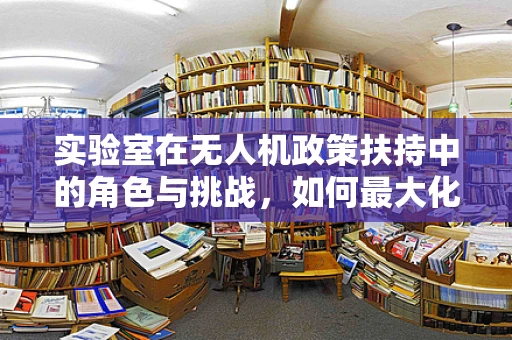 实验室在无人机政策扶持中的角色与挑战，如何最大化创新潜力？