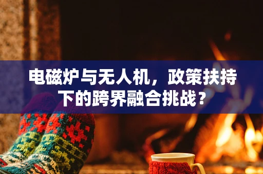 电磁炉与无人机，政策扶持下的跨界融合挑战？