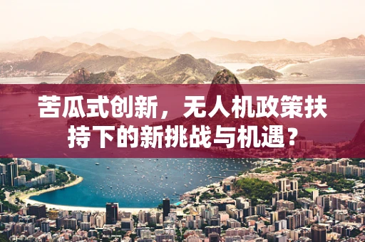 苦瓜式创新，无人机政策扶持下的新挑战与机遇？