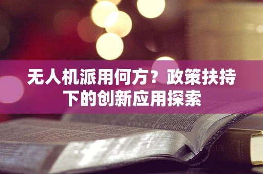 无人机派用何方？政策扶持下的创新应用探索