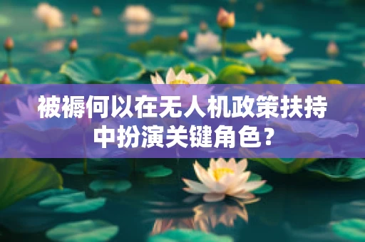 被褥何以在无人机政策扶持中扮演关键角色？