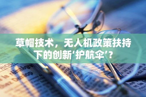 草帽技术，无人机政策扶持下的创新‘护航伞’？