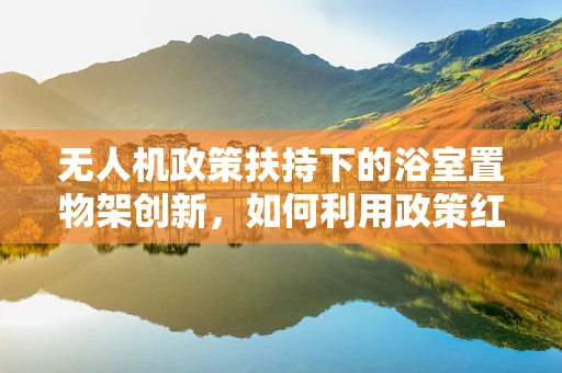 无人机政策扶持下的浴室置物架创新，如何利用政策红利推动小型无人机附件的智能化发展？