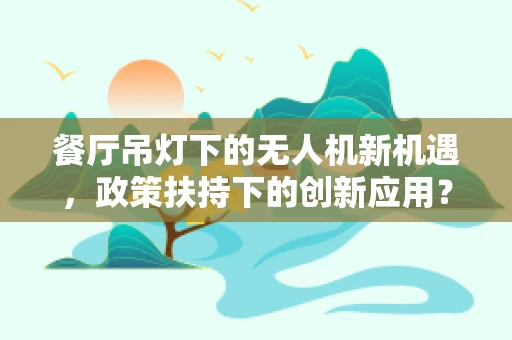 餐厅吊灯下的无人机新机遇，政策扶持下的创新应用？
