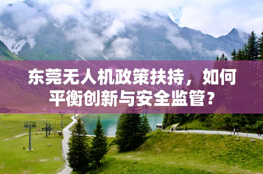 东莞无人机政策扶持，如何平衡创新与安全监管？
