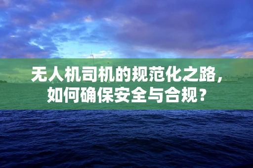 无人机司机的规范化之路，如何确保安全与合规？