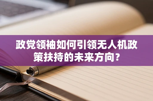 政党领袖如何引领无人机政策扶持的未来方向？