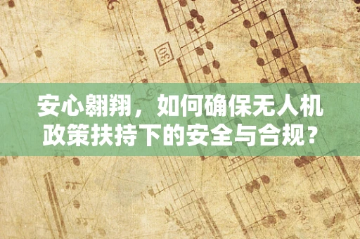 安心翱翔，如何确保无人机政策扶持下的安全与合规？