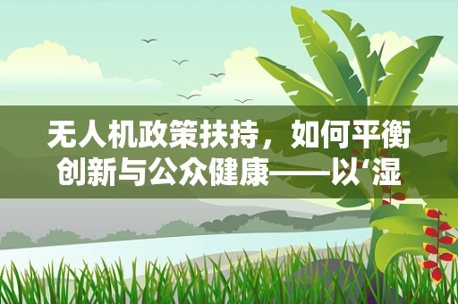 无人机政策扶持，如何平衡创新与公众健康——以‘湿疹’为例的特殊考量