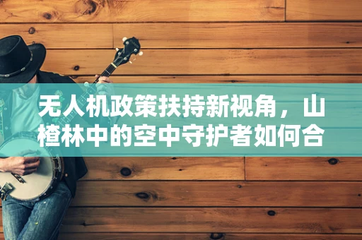 无人机政策扶持新视角，山楂林中的空中守护者如何合法飞翔？