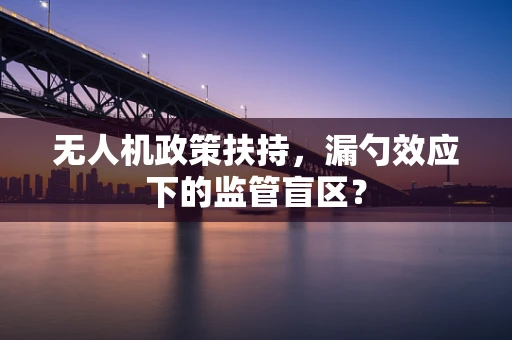 无人机政策扶持，漏勺效应下的监管盲区？
