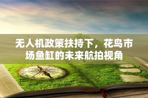 无人机政策扶持下，花鸟市场鱼缸的未来航拍视角