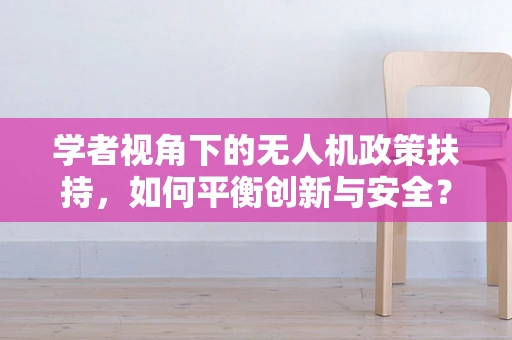 学者视角下的无人机政策扶持，如何平衡创新与安全？