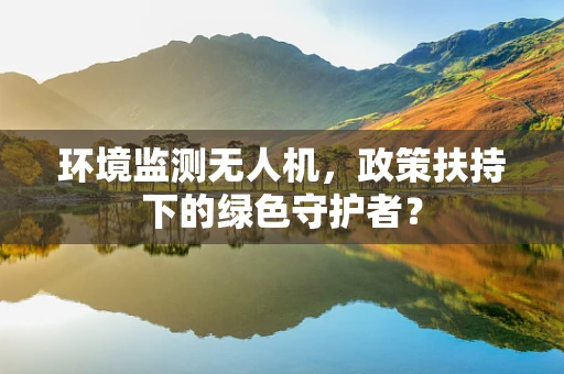 环境监测无人机，政策扶持下的绿色守护者？