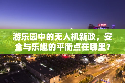 游乐园中的无人机新政，安全与乐趣的平衡点在哪里？