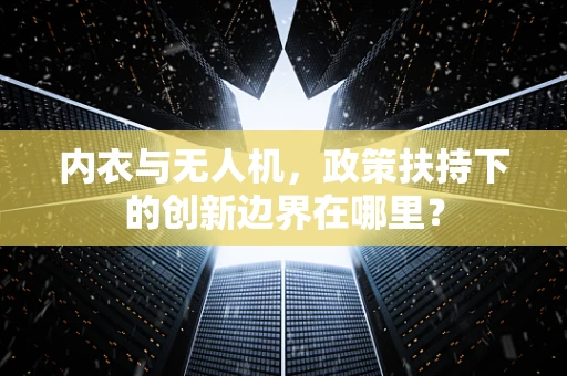 内衣与无人机，政策扶持下的创新边界在哪里？