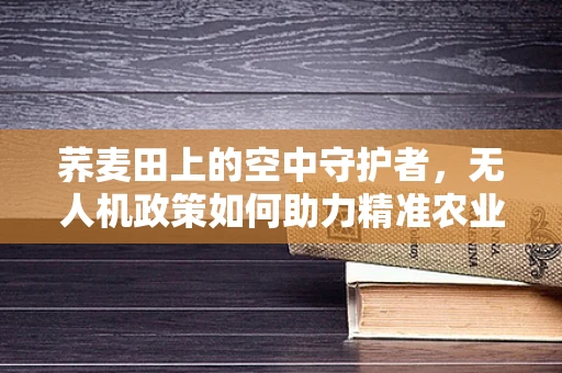 荞麦田上的空中守护者，无人机政策如何助力精准农业？