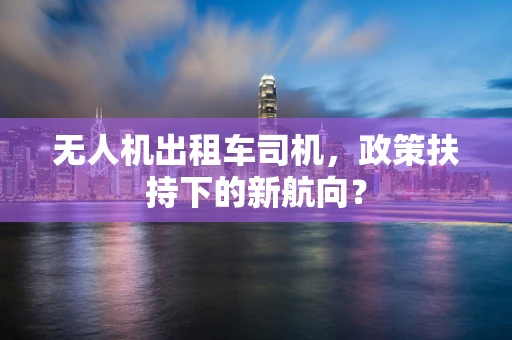 无人机出租车司机，政策扶持下的新航向？