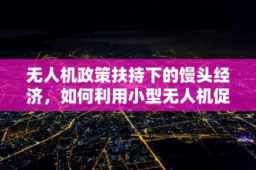 无人机政策扶持下的馒头经济，如何利用小型无人机促进农村经济发展？