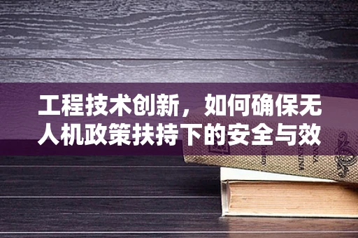 工程技术创新，如何确保无人机政策扶持下的安全与效率？