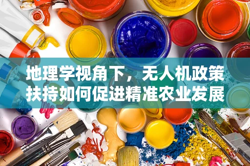 地理学视角下，无人机政策扶持如何促进精准农业发展？