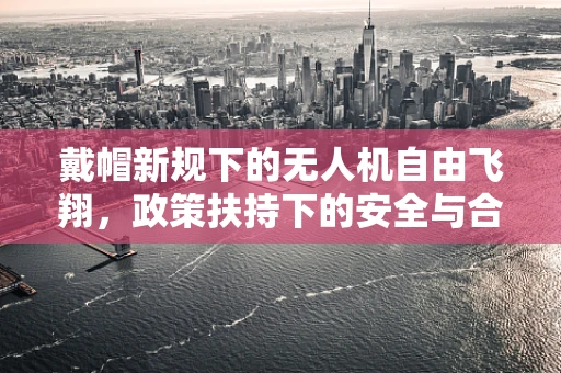戴帽新规下的无人机自由飞翔，政策扶持下的安全与合规挑战？