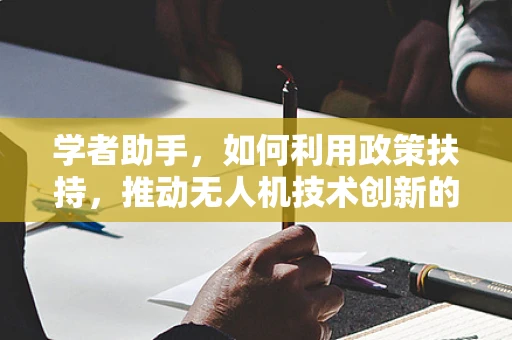 学者助手，如何利用政策扶持，推动无人机技术创新的智翼效应？