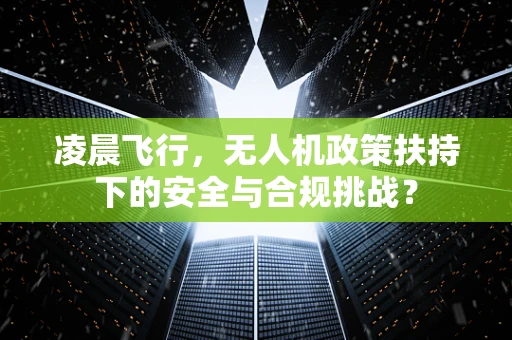 凌晨飞行，无人机政策扶持下的安全与合规挑战？