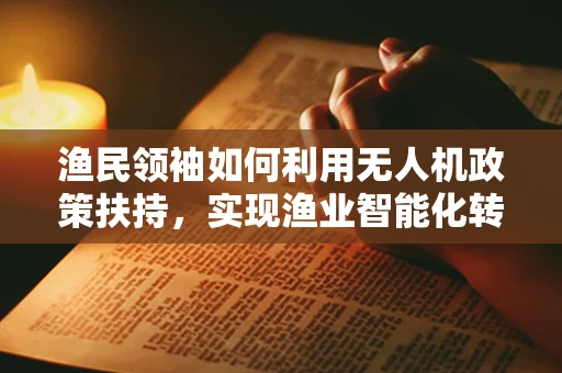 渔民领袖如何利用无人机政策扶持，实现渔业智能化转型？