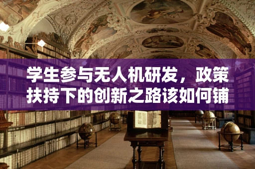 学生参与无人机研发，政策扶持下的创新之路该如何铺就？