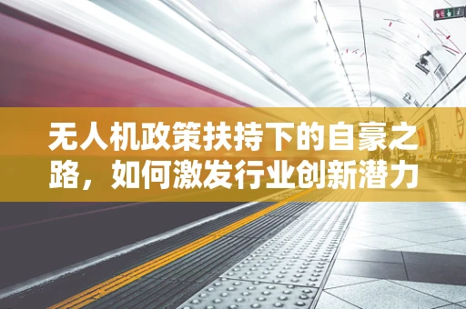 无人机政策扶持下的自豪之路，如何激发行业创新潜力？